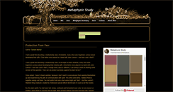 Desktop Screenshot of metaphysicstudy.com